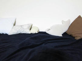 IMG03820.jpg