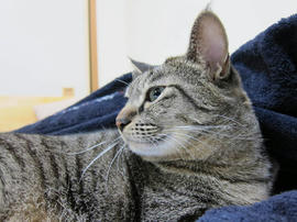 IMG03823.jpg