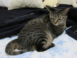 IMG03825.jpg