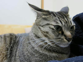 IMG03826.jpg