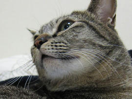 IMG03827.jpg