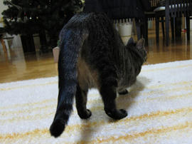 IMG03829.jpg