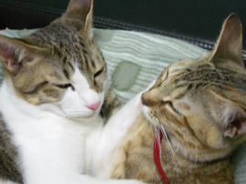 IMGP8445.jpg