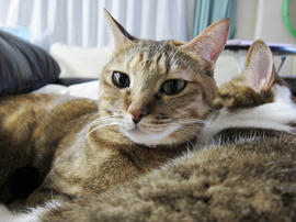 IMG03830.jpg