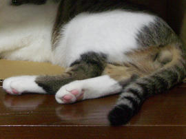 IMGP8501.jpg