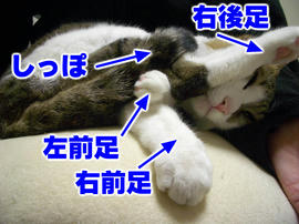 IMGP12569_2.jpg