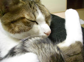 IMGP12572.jpg