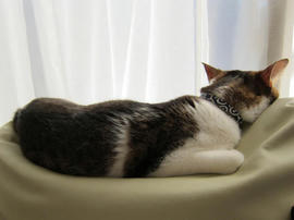 IMG03835.jpg