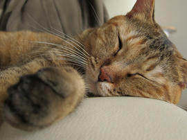 IMG03837.jpg