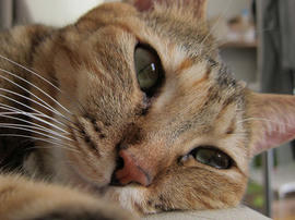 IMG03838.jpg