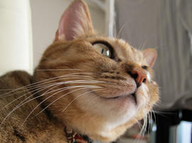 IMG03841.jpg