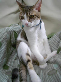 IMGP8586.jpg