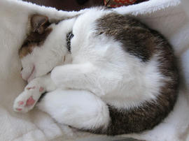 IMG03842.jpg