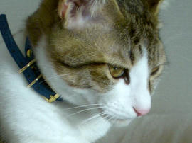 IMGP8609.jpg