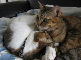 IMG00303.jpg