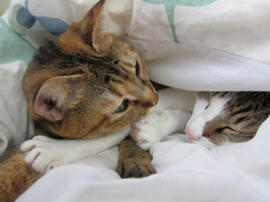 IMG03845.jpg