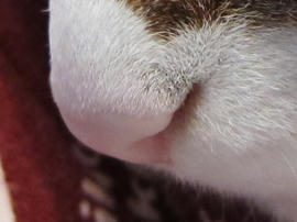IMG03848.jpg