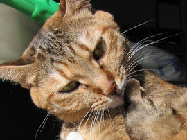 IMG00321.jpg