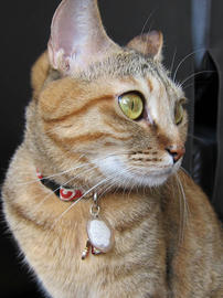 IMG00332.jpg