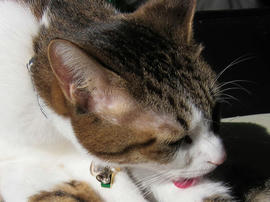 IMG00327.jpg