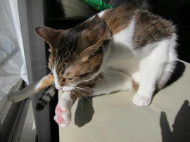 IMG00329.jpg