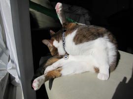 IMG00330.jpg