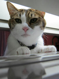 IMG03854.jpg