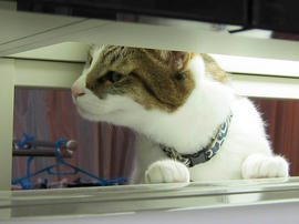 IMG03855.jpg
