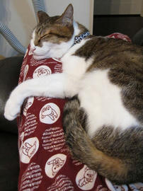IMG03859.jpg