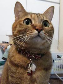 IMG03876.jpg