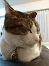 IMG03878.jpg
