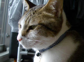 IMGP12619.jpg