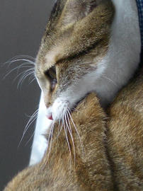 IMGP12621b.jpg