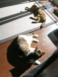 IMG03880.jpg