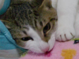 IMGP8719.jpg