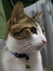 IMGP12626.jpg