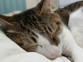 IMG00358.jpg