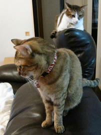 IMG03886.jpg