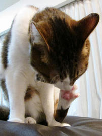 IMG03890.jpg