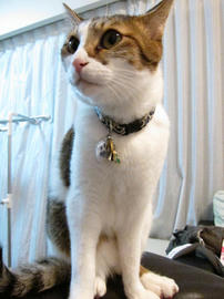 IMG03891.jpg