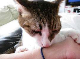 IMG03892.jpg