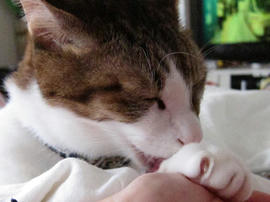 IMG03893.jpg