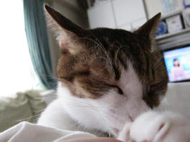 IMG03897.jpg