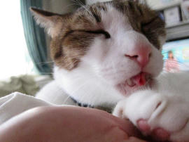 IMG03898.jpg