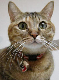 IMG03906.jpg