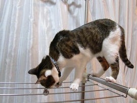 IMG03907.jpg