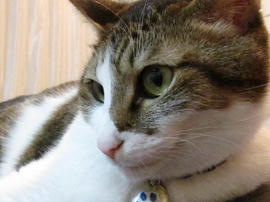 IMG03910.jpg