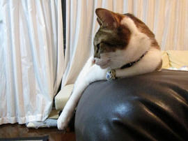 IMG03911.jpg