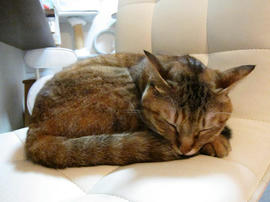 IMG03912.jpg