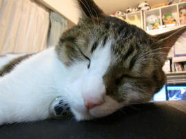IMG03913.jpg